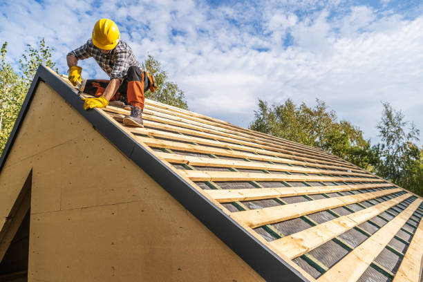 Roof Gutter Cleaning in Offutt Af, NE
