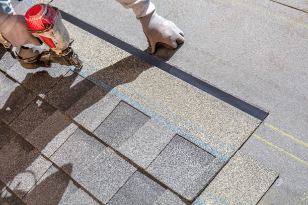 Best Local Roofing Companies  in Offutt Af, NE